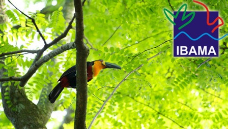 Com novo edital, concurso do Ibama reabre as inscrições.