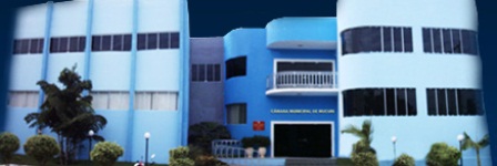 Esforço concentrado dos Vereadores na tramitação de 9 projetos de lei para a reunião da próxima terça, 04 de junho