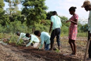 Dia do Agricultor: Suzano promove o fortalecimento de comunidades rurais no Extremo Sul da Bahia