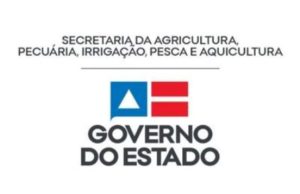 Bahia Pesca lança curso gratuito e online de associativismo
