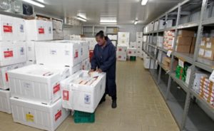 Com esquema especial de segurança, cerca de 180 mil baianos serão imunizados contra o coronavírus nesta primeira fase