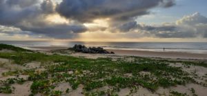 Secretaria de Meio Ambiente retoma programa de monitoramento das tartarugas marinhas em Mucuri