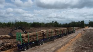 Suzano inaugura projeto histórico de logística florestal no Extremo Sul da Bahia