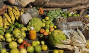 Mais de 665 famílias são contempladas com Programa PAA em Pedro Canário