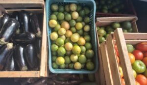 Mucuri retoma Programa de Aquisição de Alimentos para distribuir kits gratuitos de alimentação adequada à população